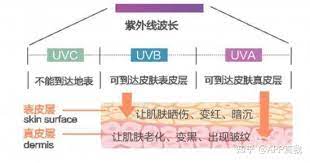 2号站怎么注册的, 2号站注册平台,